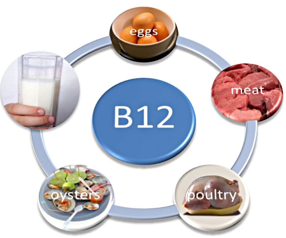 Diagram showing the benefits of Vitamin B-12
