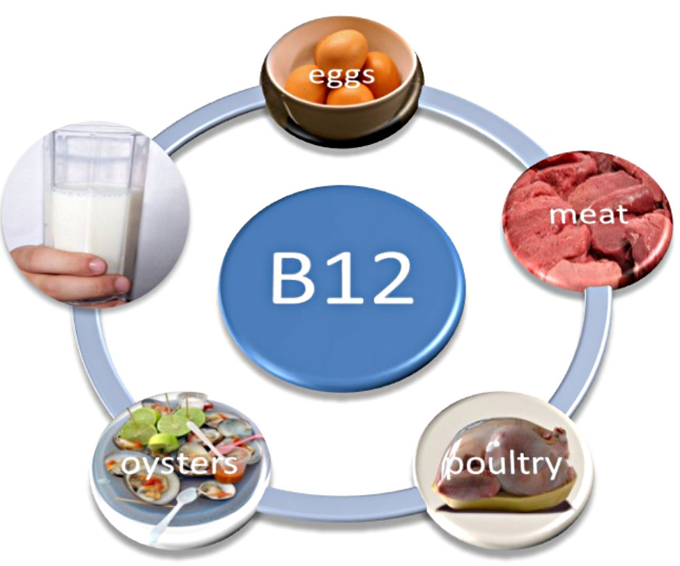 BodyLab Med Spa Services – Vitamin B-12 Injections – Aesthetic and Other Wellness Treatments