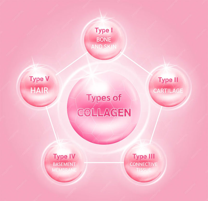 Graphic of Types of Collagen
