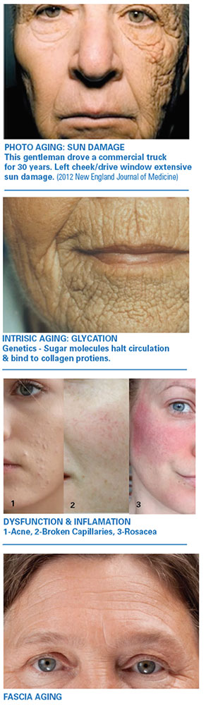 Images comparing skin issues